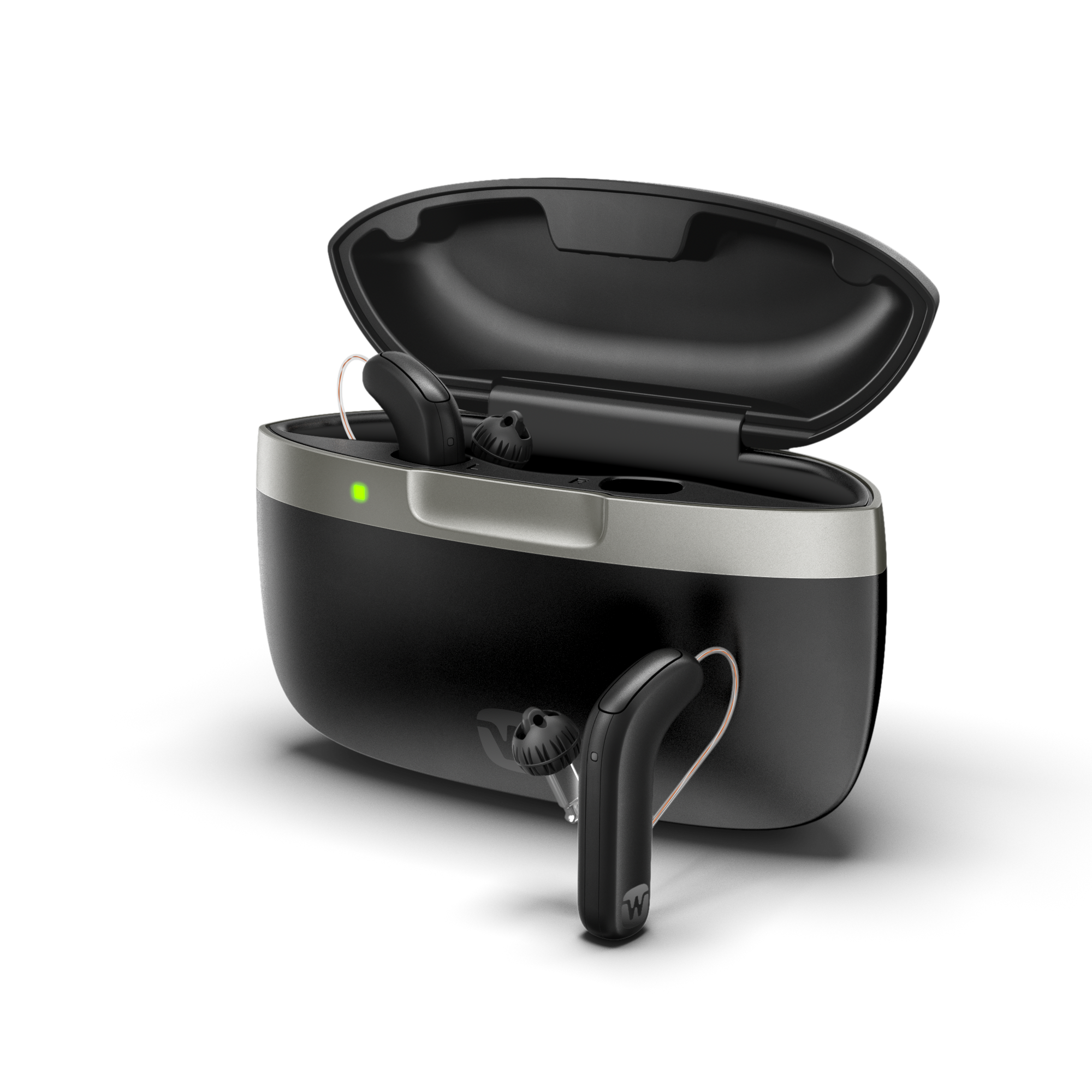 Hearing aid device